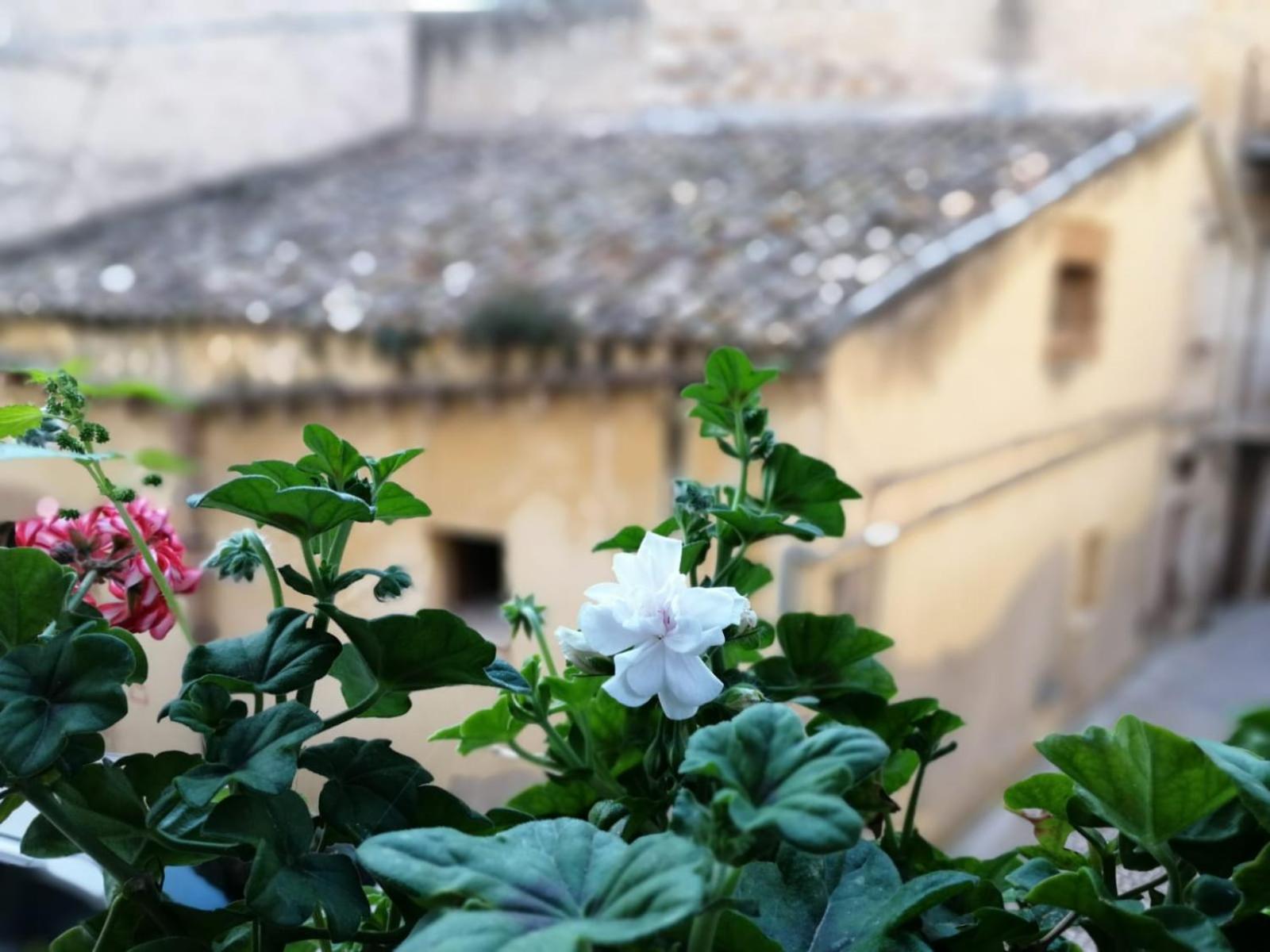 Bed and Breakfast Al-Zabut Sambuca di Sicilia Esterno foto